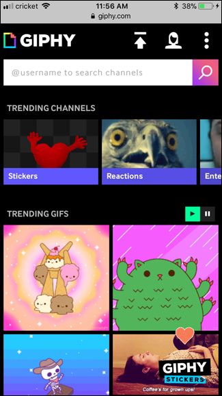 Страница Giphy с выбранным GIF и опцией копирования