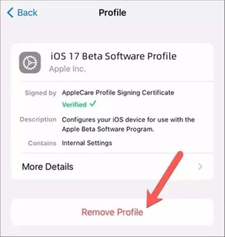 Настройка: удаление бета‑профиля iOS 17