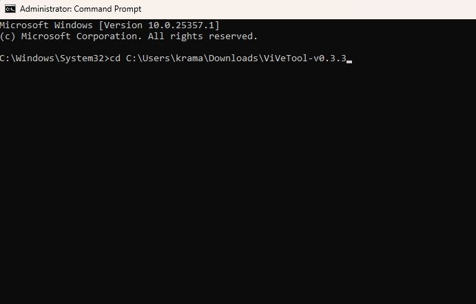 Папка с распакованной ViVeTool