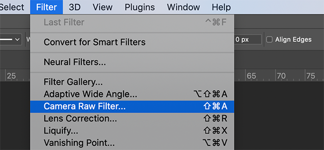 Опция фильтра Camera RAW