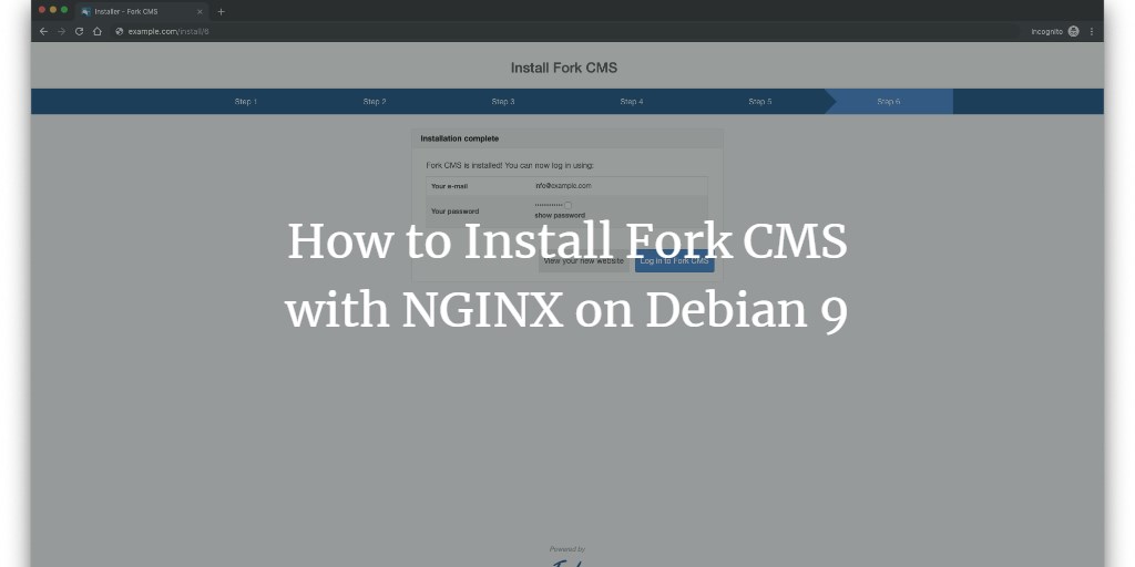 Установка Fork CMS на Debian 9 и Nginx
