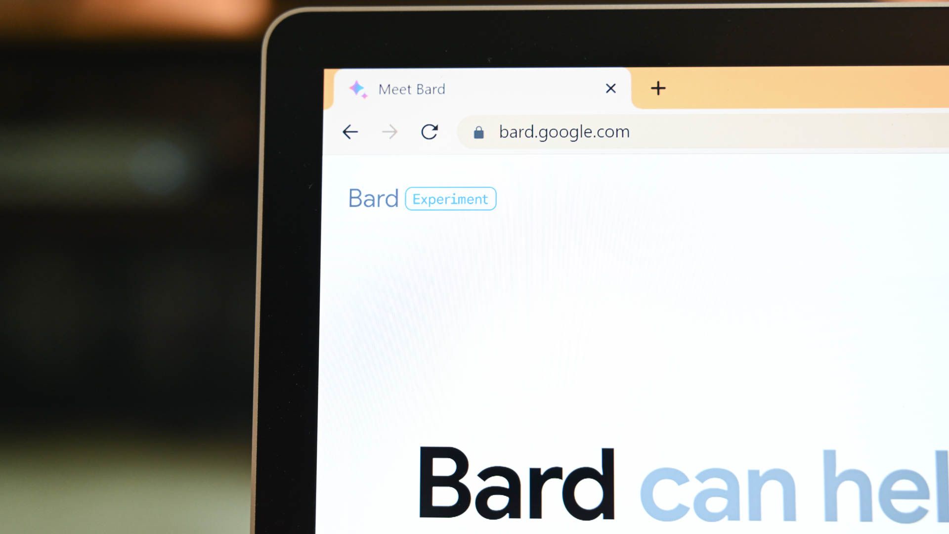 Делиться чатами Google Bard — инструкция и безопасность