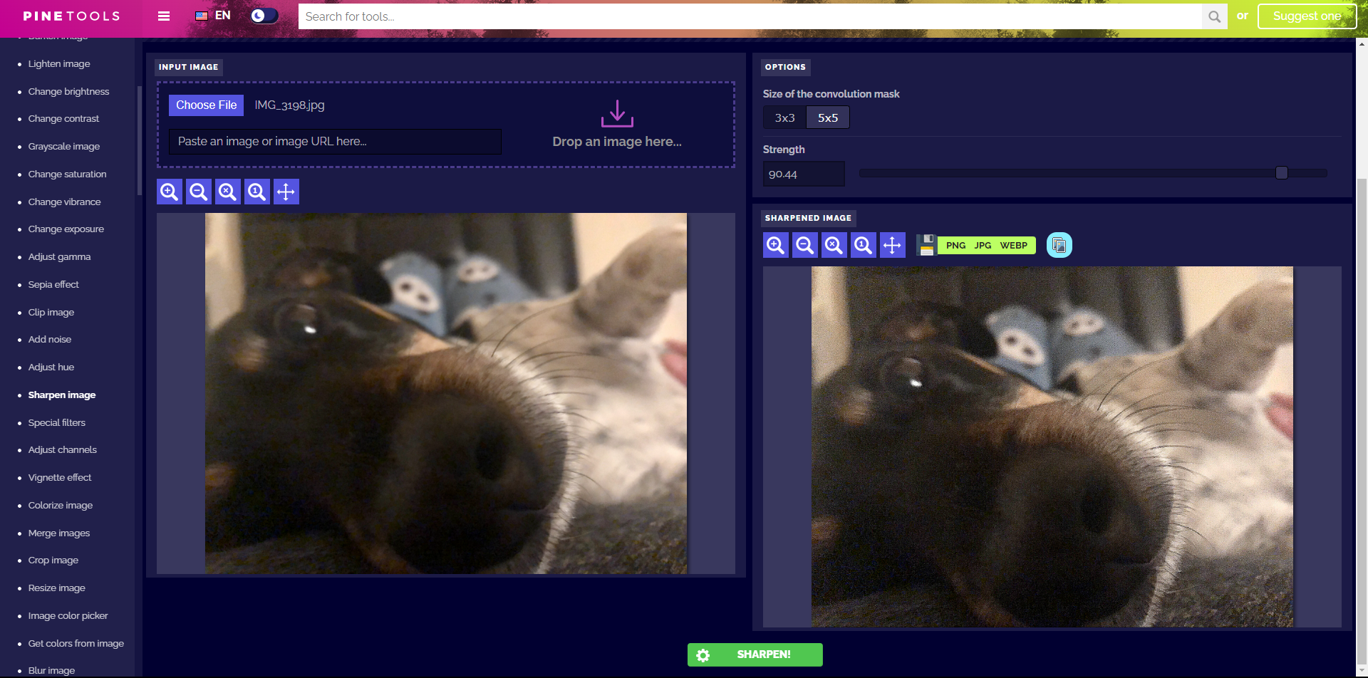 Заточка фото собаки с помощью PineTools