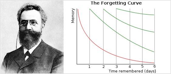 Графический интерфейс Mnemosyne с карточкой и шкалой оценки