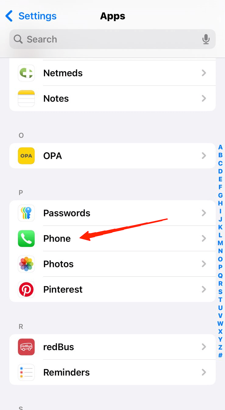 Параметры приложения Телефон в Настройках