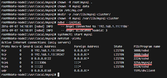 Старт MySQL на data-узле прошел успешно