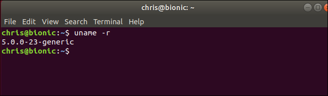 Вывод команды uname, показывающий ядро Linux 5.0 в Ubuntu «Bionic Beaver»