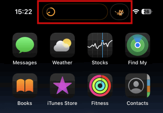Два приложения используют Dynamic Island одновременно
