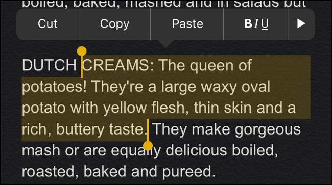 Selecting Text in iOS 13