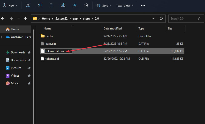 Файл tokens.dat переименован в tokens.dat.bak