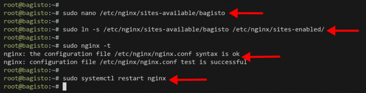 Настройка Nginx для Bagisto