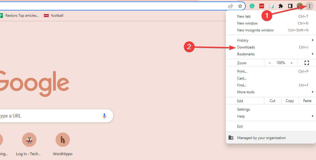 Менеджер загрузок в браузере Chrome