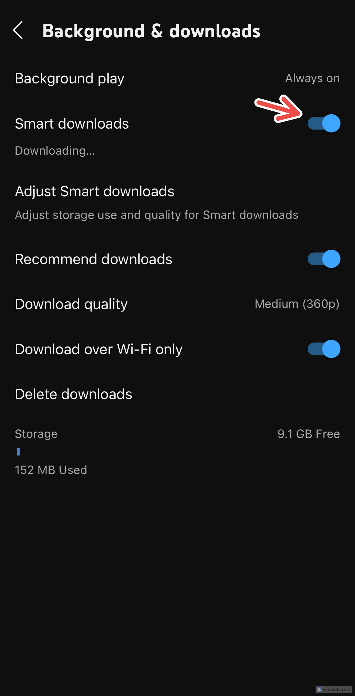Включение умных загрузок в YouTube Premium.