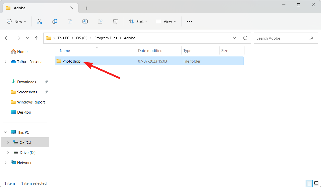 cartelle Program Files Adobe