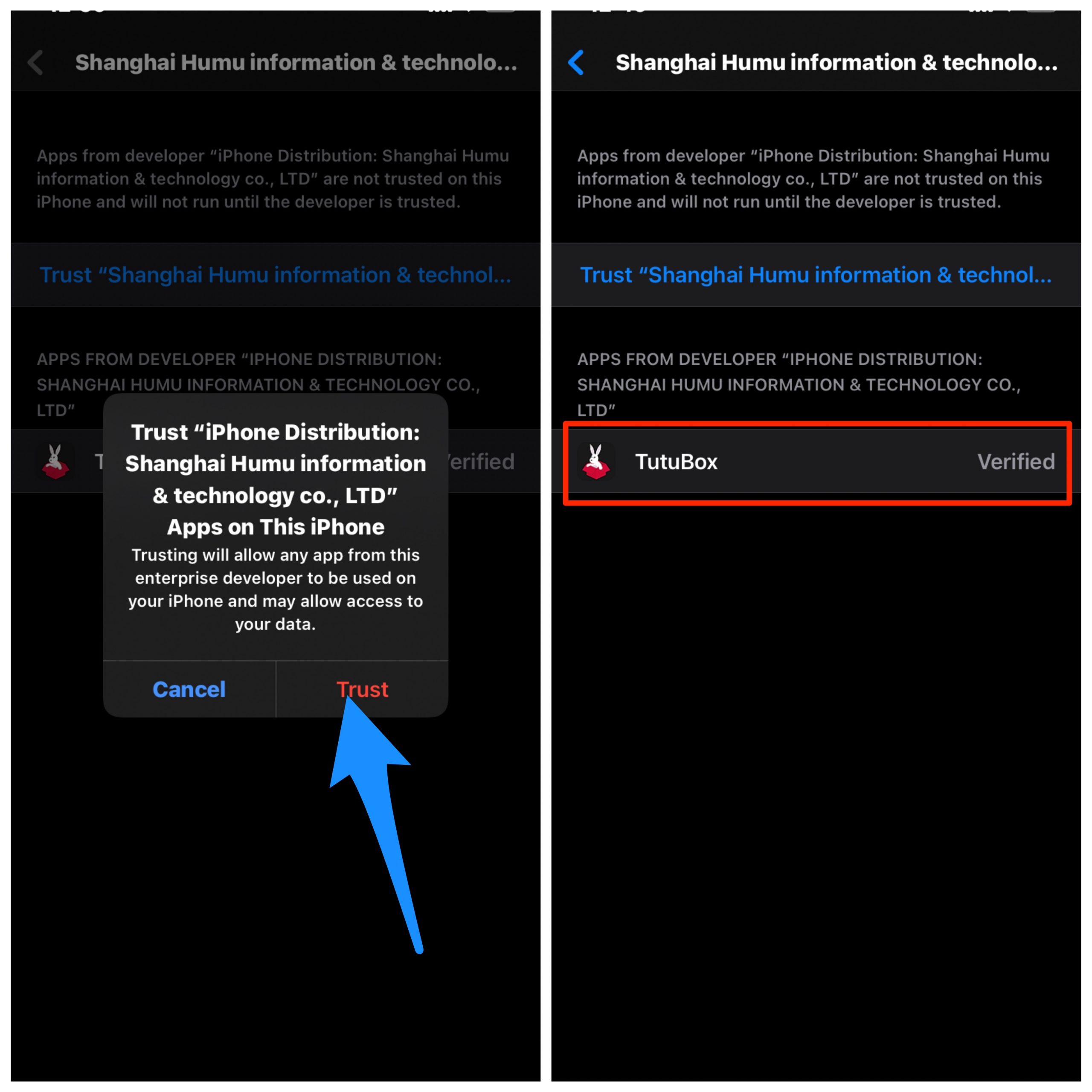 Экран подтверждения доверия корпоративному профилю в iOS