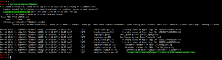 Resultado en Ubuntu cliente