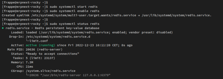 Запуск Redis