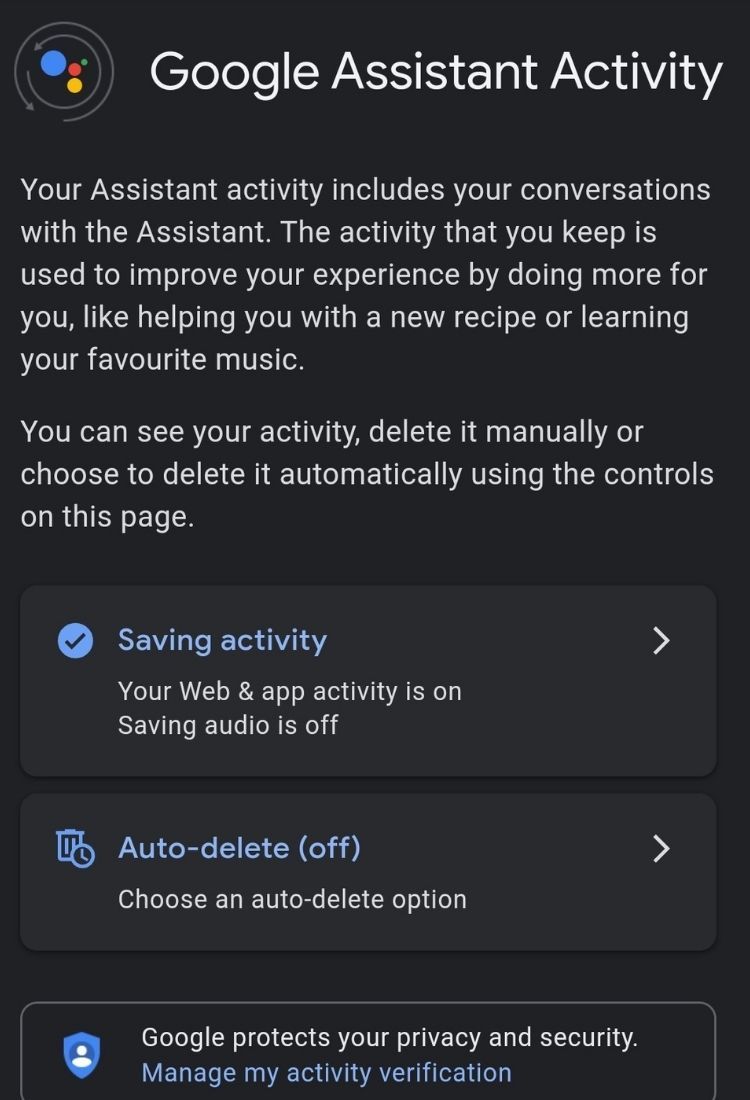 Google Assistant Activity