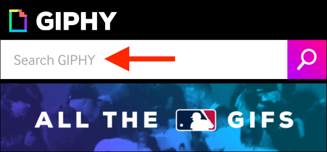 Просмотр выбранного GIF в приложении