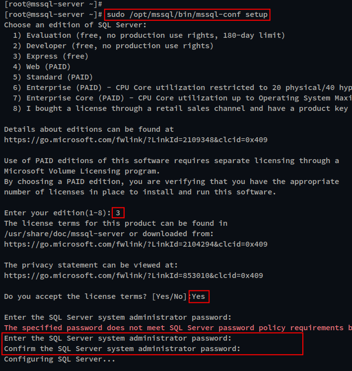 Скриншот: mssql-conf setup — выбор редакции и ввод пароля SA