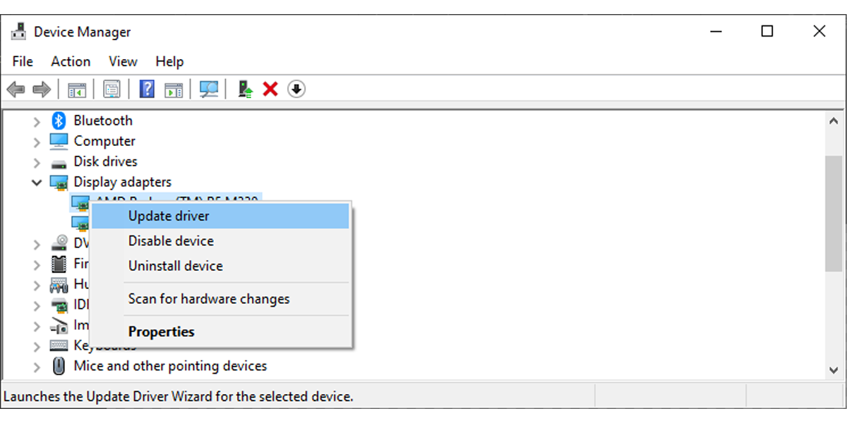 Диспетчер устройств с раскрытым списком адаптеров дисплея