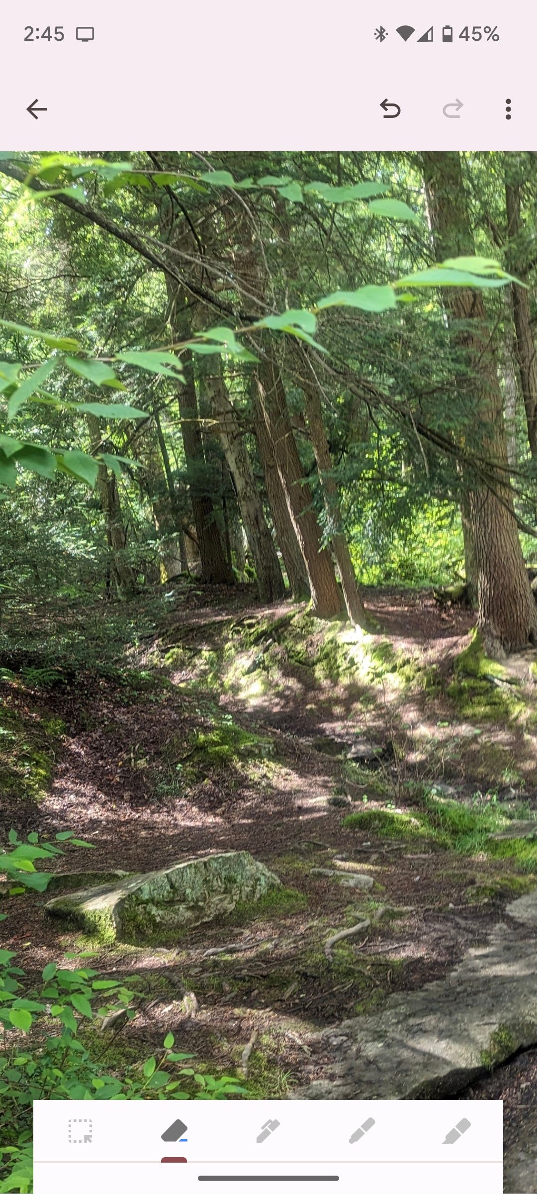 Исправленный рисунок в Google Keep