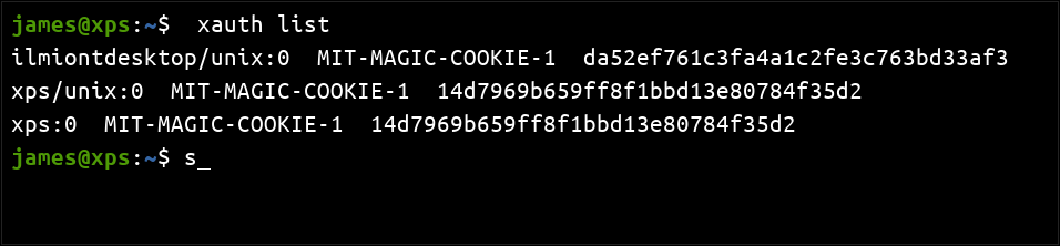 Скриншот вывода команды xauth list