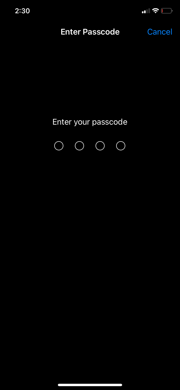 Введите код-пароль на iPhone
