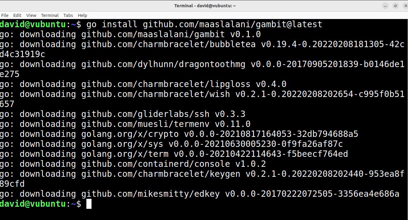 Команды установки Gambit с использованием Go