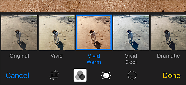 Как редактировать Live Photos на iPhone