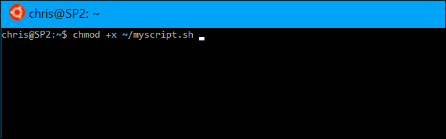 Пример выполнения chmod в терминале Bash