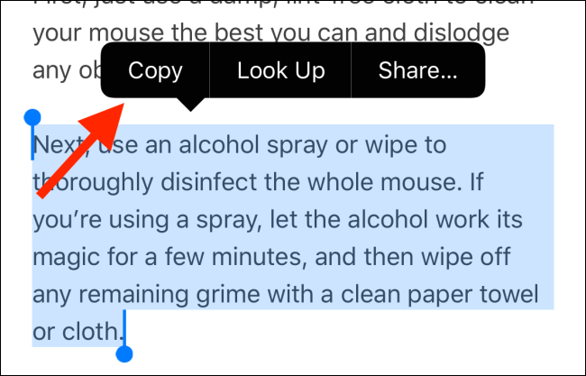 Нажмите Копировать