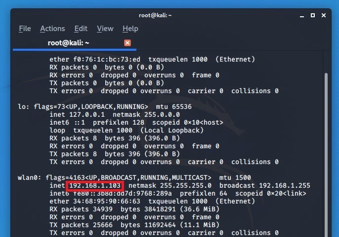 Вывод ifconfig на Kali Linux