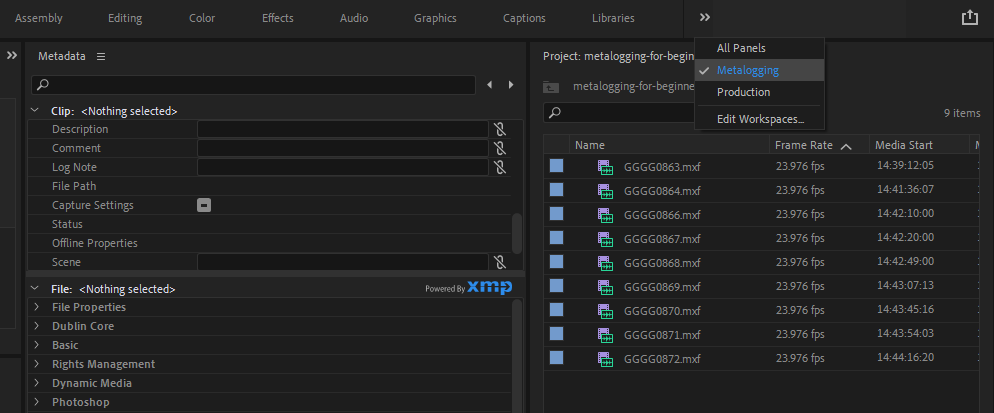Рабочее пространство Metalogging в Premiere Pro