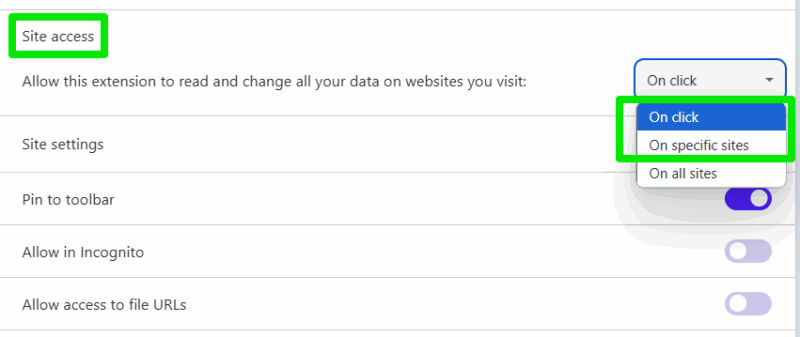 Abilitare Al clic nelle autorizzazioni sito del browser