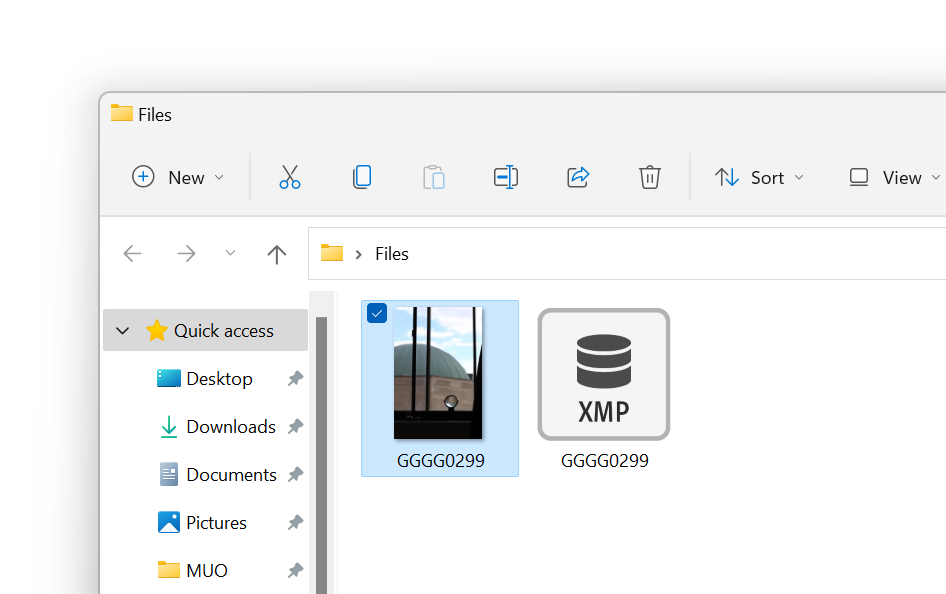 Файл XMP рядом с сырой фотографией