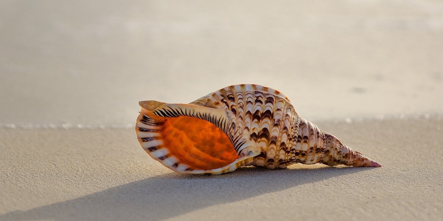 Сменить shell по умолчанию в Linux