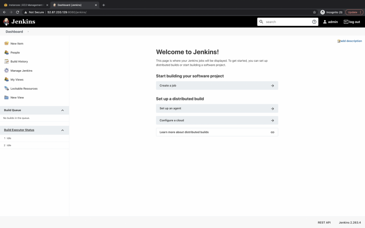 Главная панель Jenkins (Dashboard)
