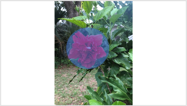 Рисование круговой фигуры на изображении