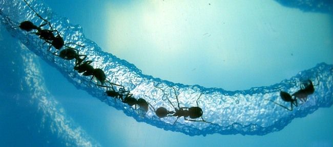 PXE: сетевой запуск утилит — руководство