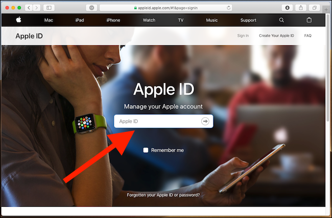 Окно входа на appleid.apple.com