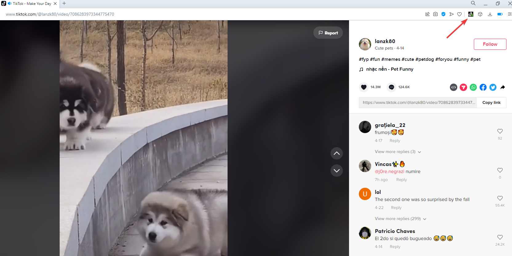 Интерфейс панели расширения TikTok с кнопкой скачивания
