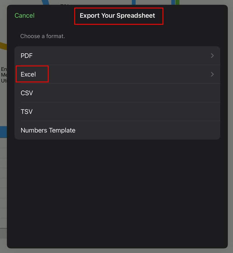 Выбор формата Excel при экспорте на iPad