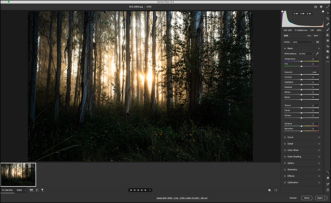 изображение открытое в adobe camera raw