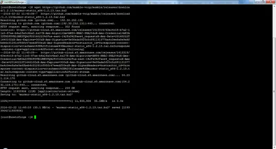 Descargando Mumble con wget.