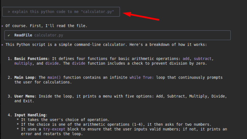 Explaning Python File Using Gemini Cli