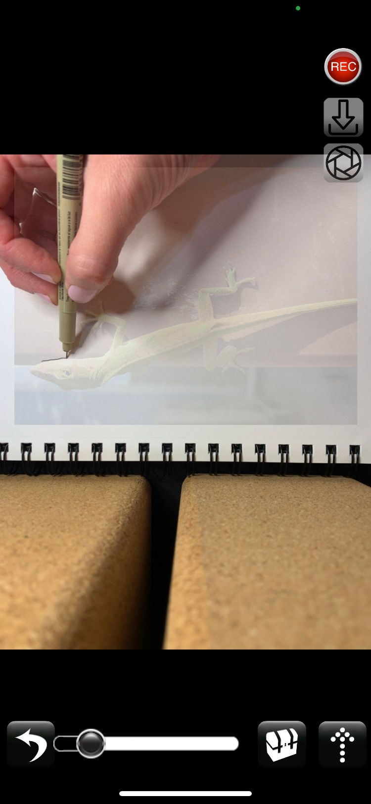 Процесс рисования с Camera Lucida