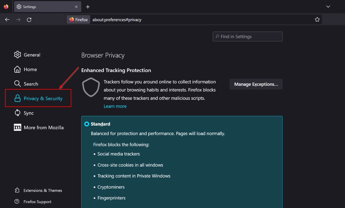 Раздел конфиденциальность и безопасность в Firefox