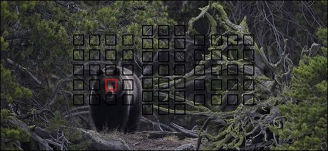 Как работает автофокус — руководство