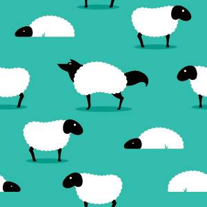 Защита от социальных инженерных атак